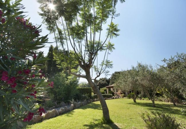 Villa in Pollensa / Pollença - CAN TORRES BEAUTIFUL FAMILY VILLA WITH THE POOL Villa in Pollensa / Pollença - CAN TORRES BEAUTIFUL FAMILY VILLA WITH THE POOL