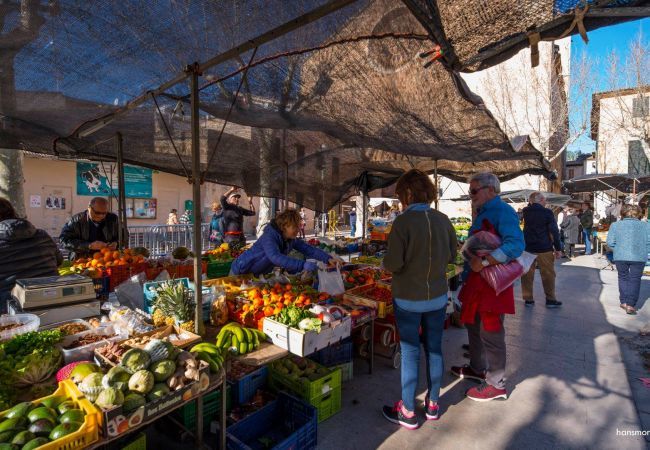 Villa in Pollensa / Pollença - Js Properties Villa Picassa lovely garden and pool Villa in Pollensa / Pollença - Js Properties Villa Picassa lovely garden and pool