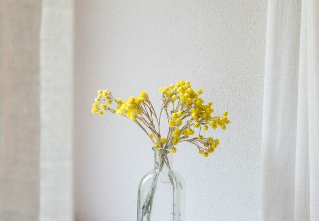 Villa in Pollensa - Luxury Villa Can Guillem Bet by JS Villas Villa in Pollensa - Luxury Villa Can Guillem Bet by JS Villas