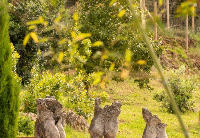 Villa in Pollensa - Luxury Villa Can Guillem Bet by JS Villas Villa in Pollensa - Luxury Villa Can Guillem Bet by JS Villas