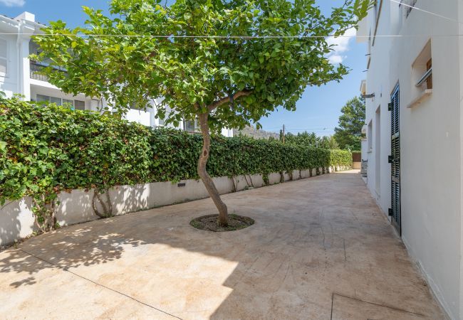 Apartamento en Puerto Pollensa - NEW LISTING. Ground Floor Apartment Fenicia Apartamento en Puerto Pollensa - NEW LISTING. Ground Floor Apartment Fenicia