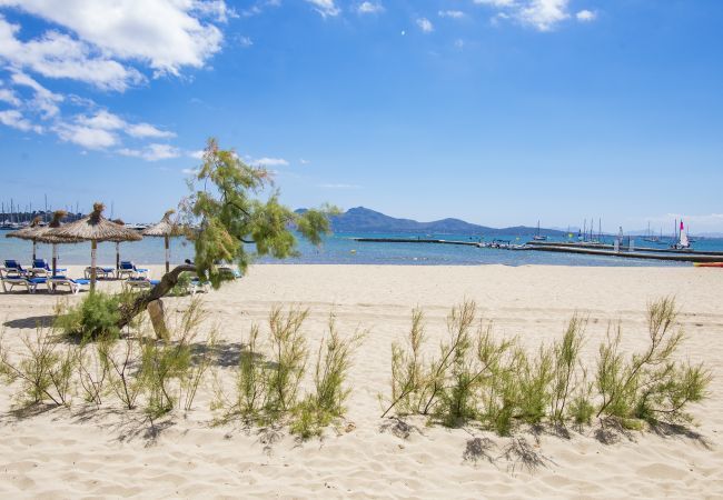 Appartement à Port de Pollença - Beachfront Apt la Bugambilia by JS VIllas Appartement à Port de Pollença - Beachfront Apt la Bugambilia by JS VIllas