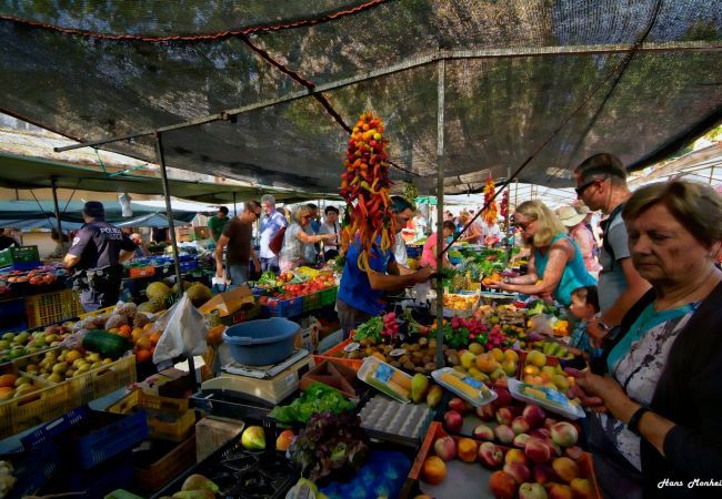 Apartment in Port de Pollença - Apt Faro pinewalk sea view by JS Villas Apartment in Port de Pollença - Apt Faro pinewalk sea view by JS Villas