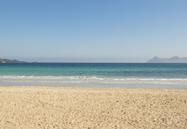 Apartment in Alcudia - Js Properties Apartment Roses monthly rental Apartment in Alcudia - Js Properties Apartment Roses monthly rental