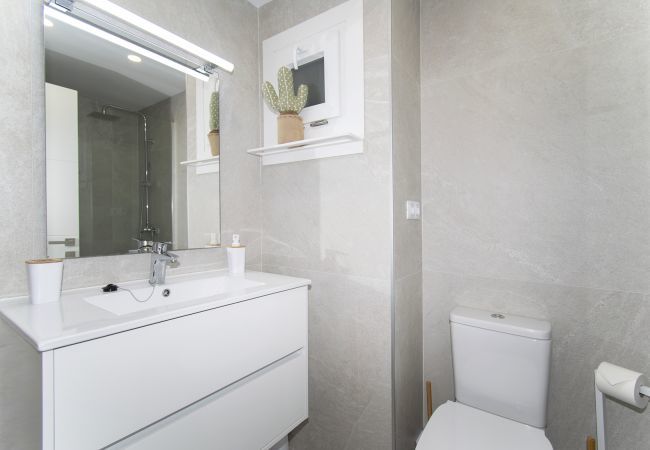 Apartment in Alcudia - Js Properties Apartment Roses monthly rental Apartment in Alcudia - Js Properties Apartment Roses monthly rental