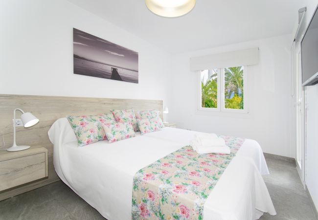 Apartment in Alcudia - Js Properties Apartment Roses monthly rental Apartment in Alcudia - Js Properties Apartment Roses monthly rental