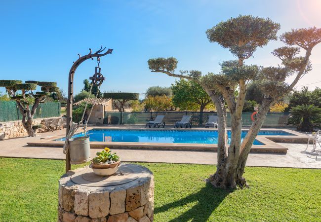 Villa in Alcudia - Villa S'hortet d'en Joan Alcudia by JS Villas Villa in Alcudia - Villa S'hortet d'en Joan Alcudia by JS Villas