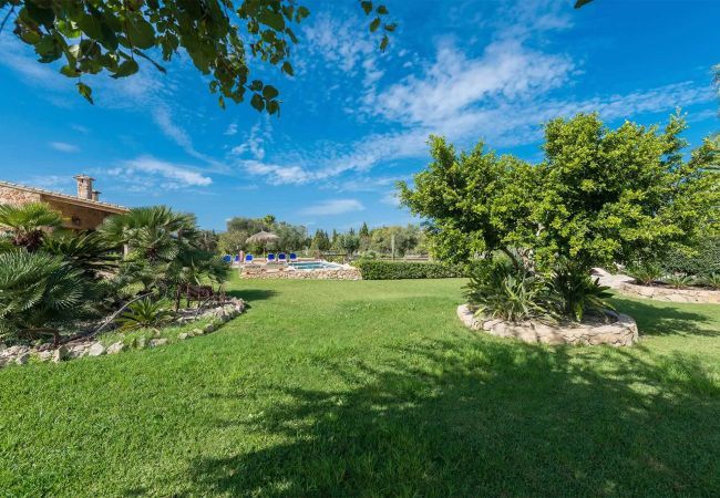 Villa in Alcudia - Villa Cal Berros by JS Villas Villa in Alcudia - Villa Cal Berros by JS Villas