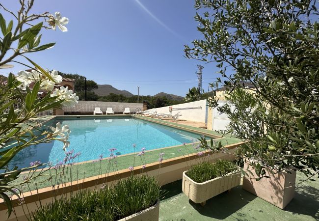 Apartment in Puerto Pollensa - *New Listing* Apartment Dos Fassers by JS Villas