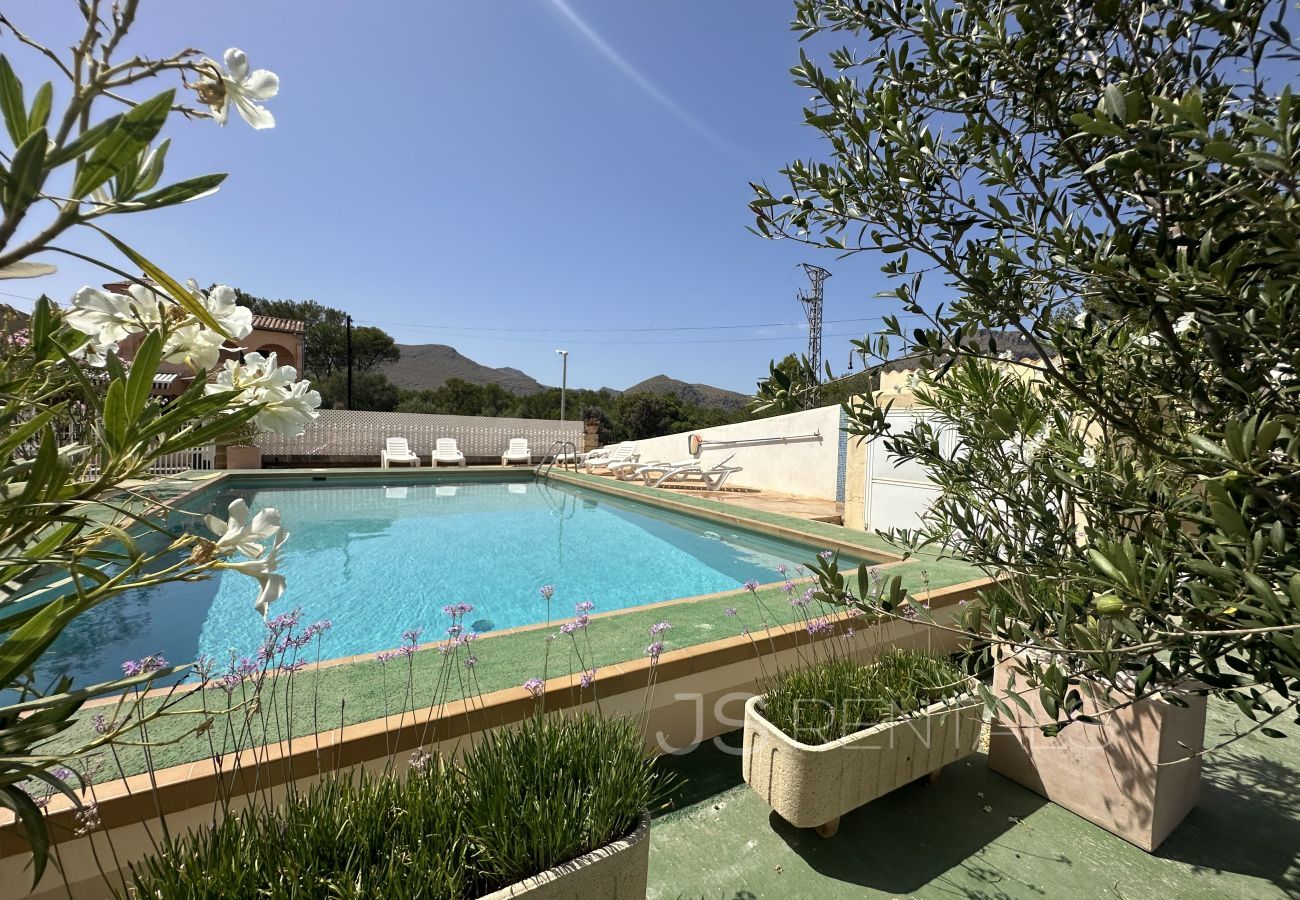 Apartment in Puerto Pollensa - *New Listing* Apartment Dos Fassers by JS Villas